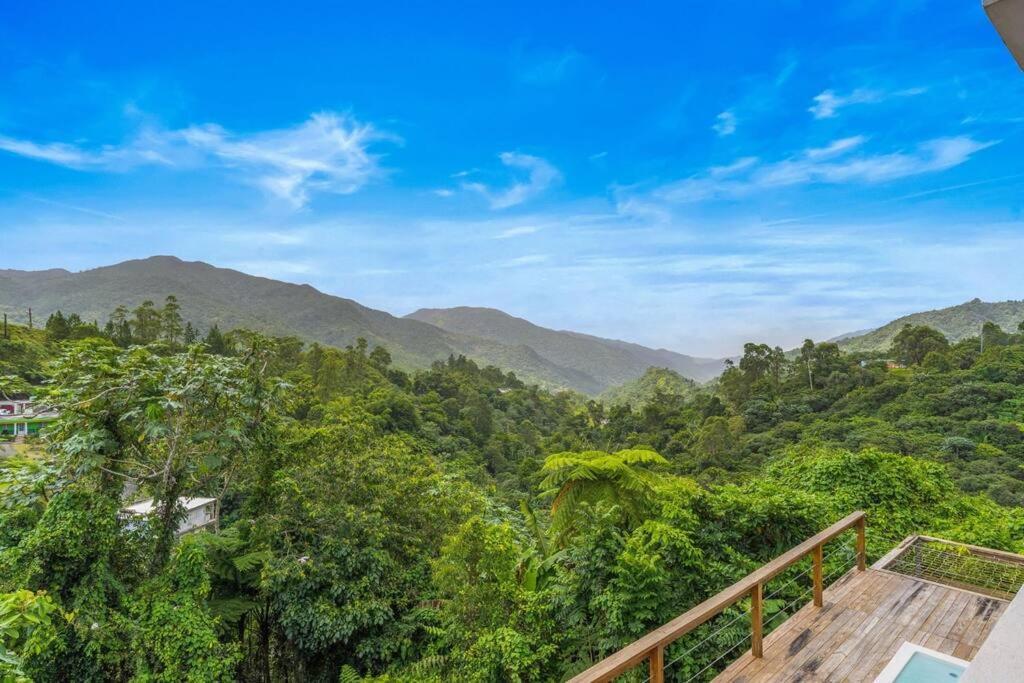 Casa De Campo En Orocovis Екстер'єр фото