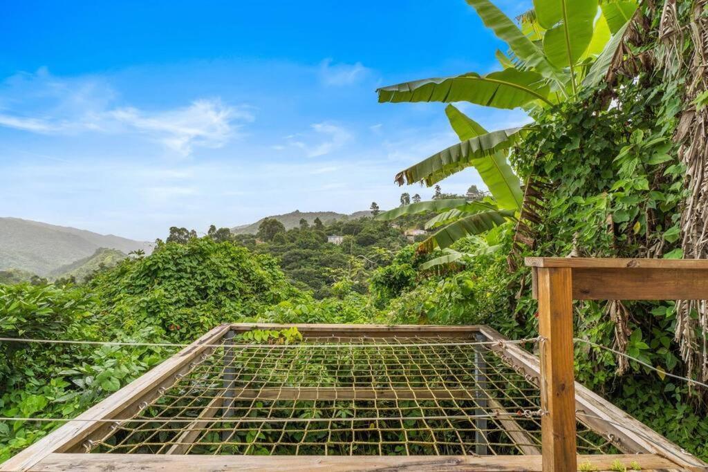 Casa De Campo En Orocovis Екстер'єр фото